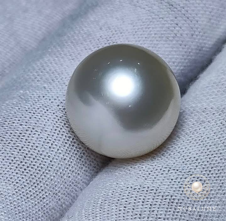The Volcanic Cradle: How Lombok’s Mineral-Rich Bays Shape the World’s Warmest Pearl Glow