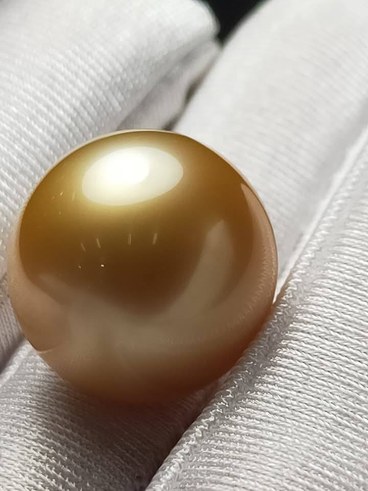 The Physics of Luster: Why Nacre Density Defines a Museum-Grade South Sea Pearl